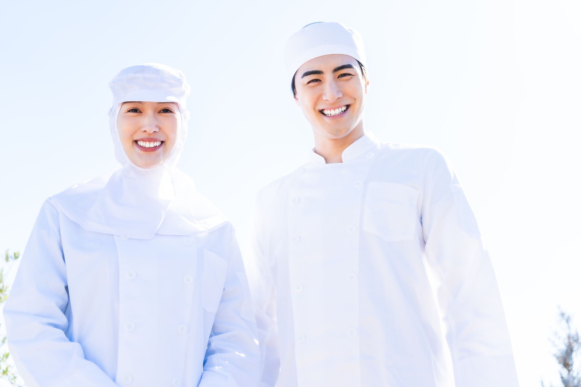 正社員 調理師 給食委託会社の求人情報イメージ1